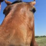 Фото профиля GrandpaStubby