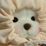 Sarang Bi's profile picture
