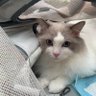 Judy profil fotoğrafı