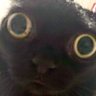 0_0 profil fotoğrafı