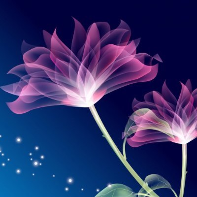 xingtian991314's profile picture