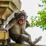 Laugh Club profil fotoğrafı