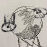 Soil :)'s profile picture