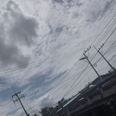 ccoo0811's profile picture