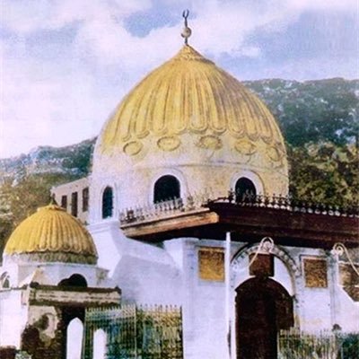 ansaruldabbat's profile picture