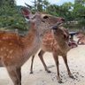 またさん's profile picture