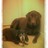 Profilbild von 🤡elliott👽