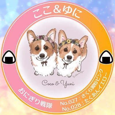 ここゆに's profile picture