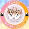 Фото профиля ここゆに