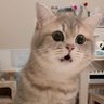 zeejean's profile picture