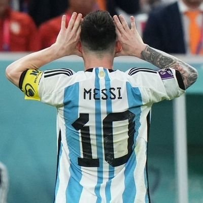 YoViARiquelme's profile picture