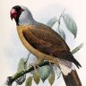 Profilbild von Rang Bahadur Patel