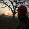 Profilbild von कैलाश निवासी ♡(っ◔◡◔)っ
