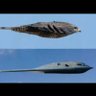 AL-ARAM AL-YAHRI profil fotoğrafı