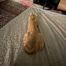 Фото профиля Sanjar