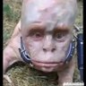 Фото профиля Isak