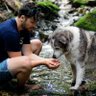 Matthew Trivett 🐺 profil fotoğrafı