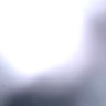 ant profil fotoğrafı