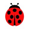 🐞まるお profil fotoğrafı