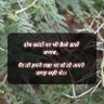 K.D.Ansari's profile picture