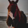 . profil fotoğrafı