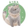ããããã@VG亀æµäŒéå¬ïŒ's profile picture