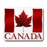 jad bitar's profile picture