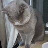 Shift+ profil fotoğrafı