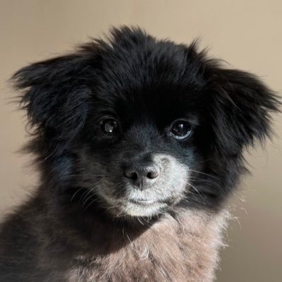 단비's profile picture