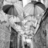 Фото профиля AnnMoAnuar
