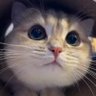Berry🍒 profil fotoğrafı