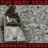 Profilbild von The Mary Veils @pnkslm