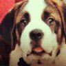 Rosieblue profil fotoğrafı
