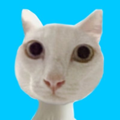 aปุ้ม's profile picture