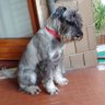 giusmo profil fotoğrafı