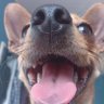 Queila E. S's profile picture
