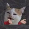 Multiverse's profile picture