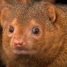 chunkE clunkE's profile picture