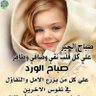 ahmedrefay 的头像
