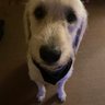 Asher Raney's profile picture