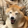 Profilbild von 天野ジャック