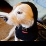 Richard Miller's profile picture
