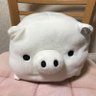 Фото профиля ブーコさん🌻🐼💝🌱🐷🌻