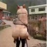 大肠我只吃带馅的 的头像