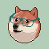 Trap Doge profil fotoğrafı