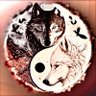 星海's profile picture