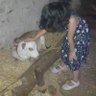 जिज्ञासु बालक profil fotoğrafı