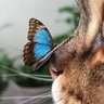 Фото профиля lovePlove