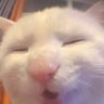 Werklikeasky's profile picture