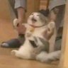 Profilbild von Kaching